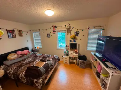 Big size room for rent in Brampton, View more