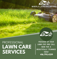 Affordable lawn care!