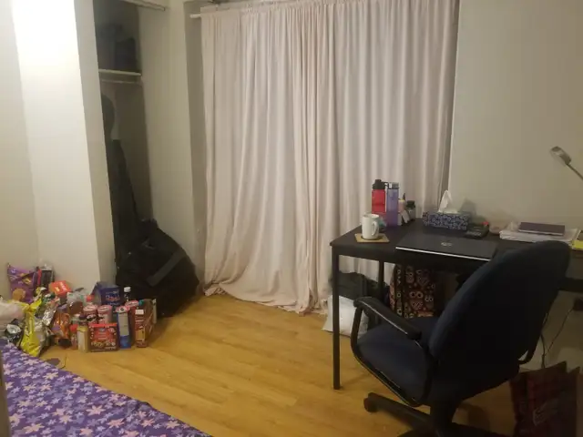Single private room available to rent in Room Rentals & Roommates in Kitchener / Waterloo - Image 2
