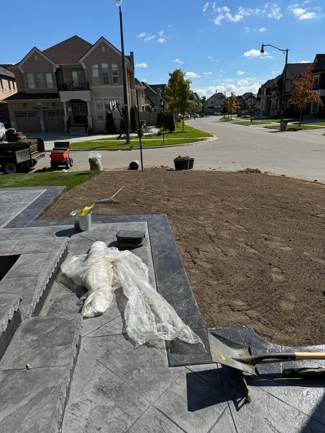 SOD - SPRING SPECIAL - Mississauga / Peel Region in Lawn, Tree Maintenance & Eavestrough in Mississauga / Peel Region