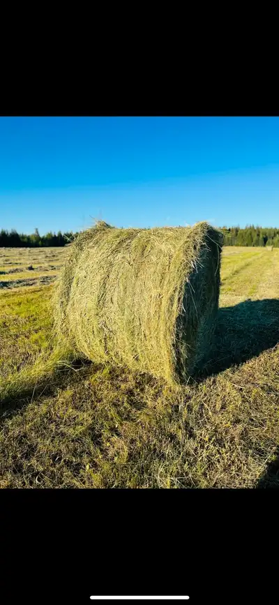 Hay for sale- 400 Rounds available , View more