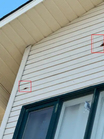 High Ladder Exterior Repair (32ft) – Need Experienced Handyman, View more
