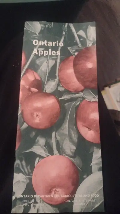 Ontario apples , View more