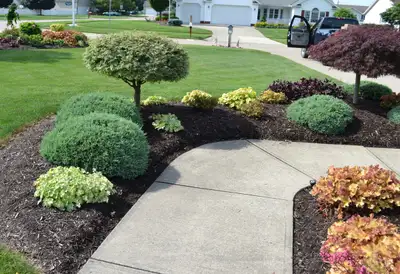 J.J Landscaping , View more