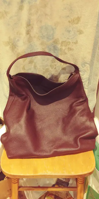 Everlane Italian Pebbled Leather Boss Hobo Bag NWOT, View more