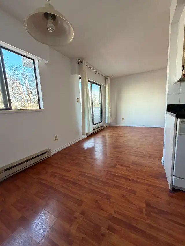 Spacious pet-friendly 2 BR/1BA apartment