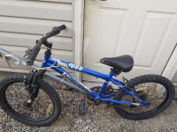 20" mountain bike for kids -- needs repair