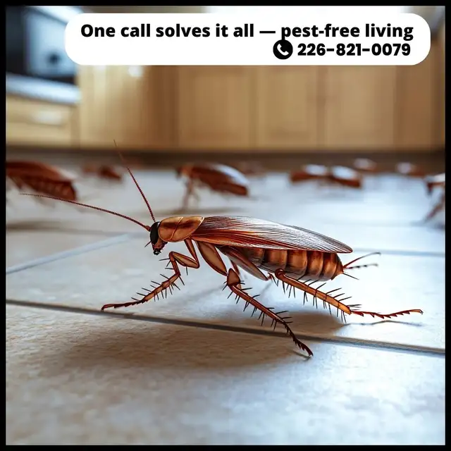 ✆ 226-821-0079 Pest Control – Serving the GTA in Cleaners & Cleaning in Mississauga / Peel Region - Image 9
