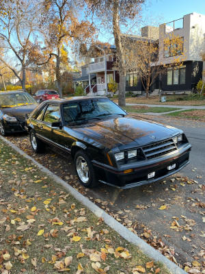 1982 Ford Mustang GT