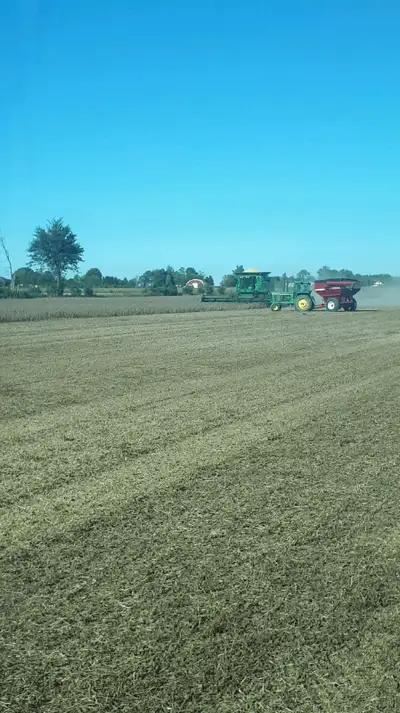 Farmland for 2025 and beyond Sharecrop or Rent Am a froth generation farmer wanting to be expand Ple...