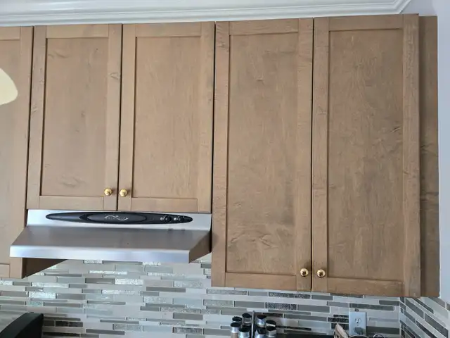 Kitchen Cabinets (shaker): includes doors, shelves, and knobs64519992277633121