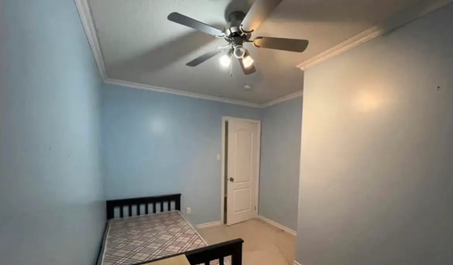 Private Room near Trent University in Room Rentals & Roommates in Peterborough - Image 2