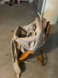 Kelty Child Carrier