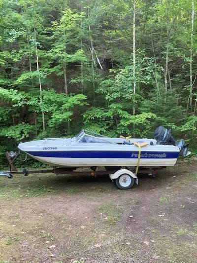 Sold as is. Boat is stored in Calabogie area.