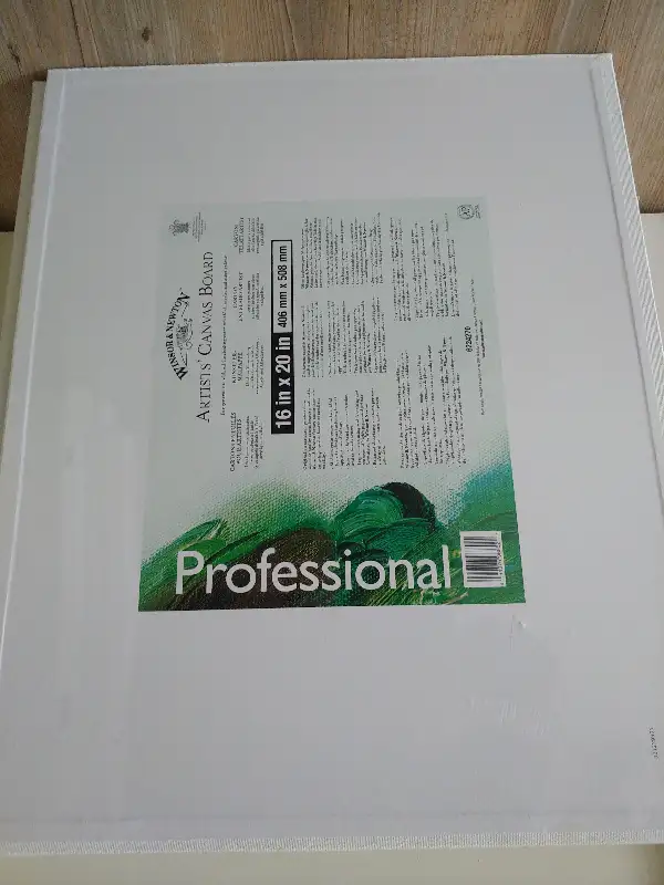Artist Canvases, 16 by 20, 24 by 24, 24 by 36 still packaged in Hobbies & Crafts in Ottawa - Image 4