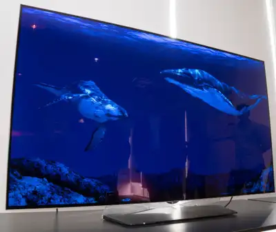 LG 4k OLED 55" TV, View more