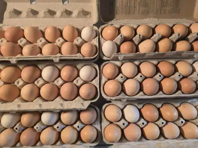 Farm Fresh Eggs, View more