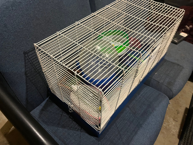 Hamster cage and other items  in Accessories in Kitchener / Waterloo - Image 3