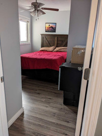 Renovated Bedroom for rent CALLS ONLY  613-325-2942