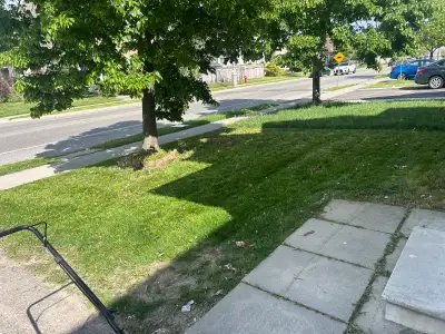 LAWN SERVICES , View more