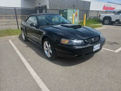 2002 ford mustang gt premium convertible manual 4.6L V8 with only 90xxx original kms. This car is ba...