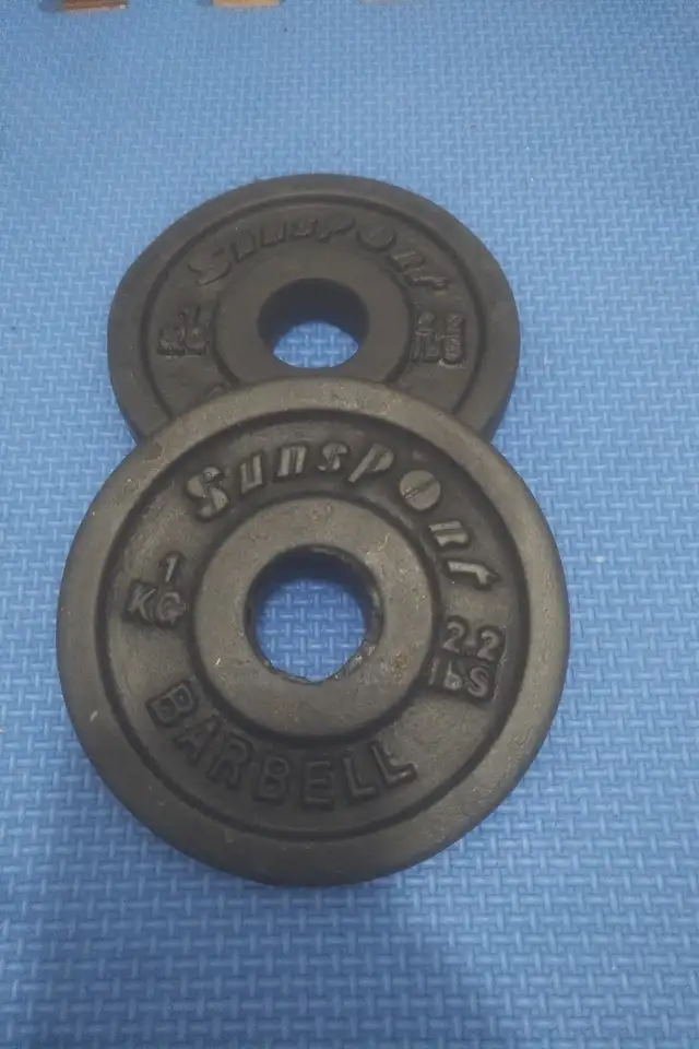 weight plates ($1.35/lbs) in Exercise Equipment in Delta/Surrey/Langley - Image 5