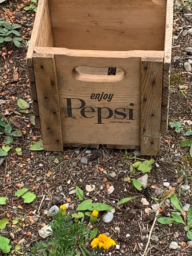 Pepsi Cola Crate64656289698689121