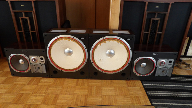 Sony SS-S1000WR speakers, CONSIDERING TRADES in Speakers in Gatineau - Image 3