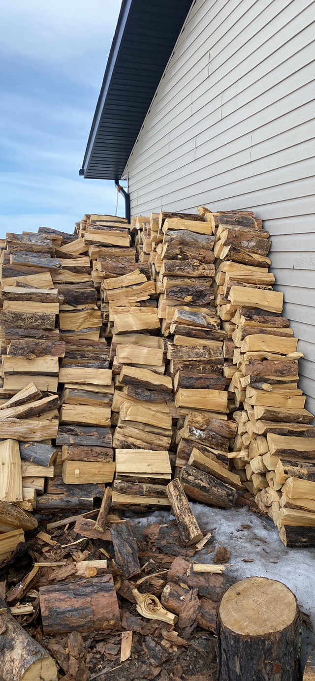 Firewood  in Other in Prince Albert - Image 4