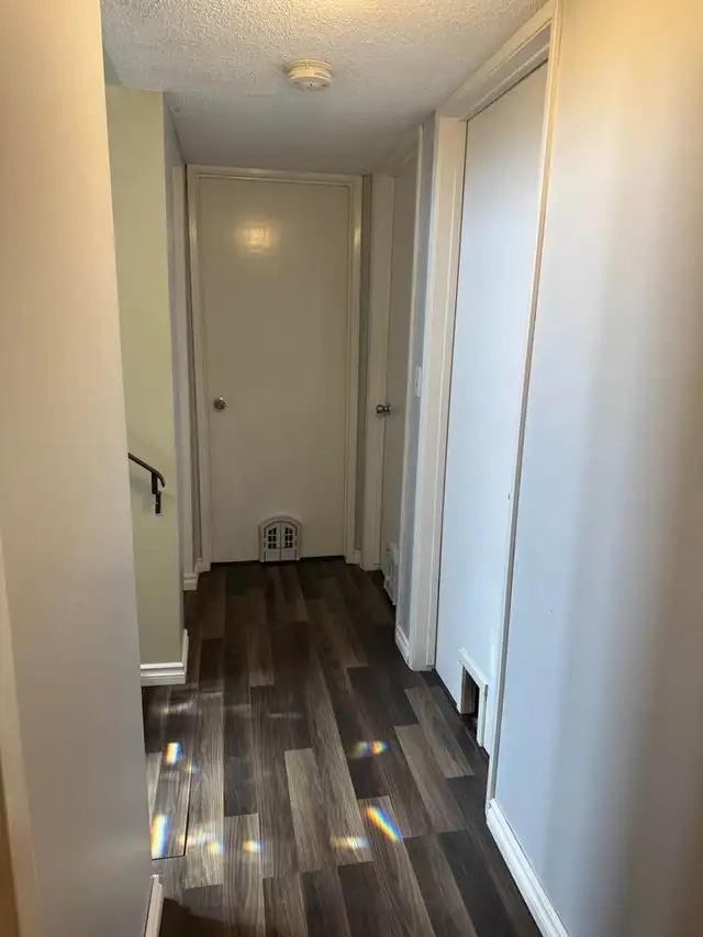 3 Bedroom 1.5 Bath House (Shared home) in Room Rentals & Roommates in Calgary - Image 8