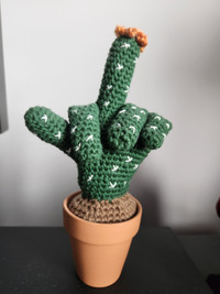 Handmade F-U crochet cactus décor amigurumi / Cactus au crochet