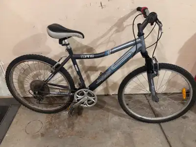 Mens Infinity Mountain bike , View more