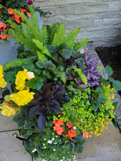 Wanted: Hiring Gardeners, View more