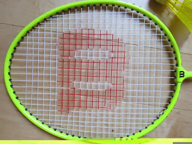 WILSON BADMINTON RACKETS RACQUETS RACKET X 2 in Tennis & Racquet in Ottawa - Image 6