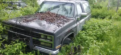 1988 Chevrolet K5 Blazer, 4x4 Gas 350 TBI, project that I don't have the time or money for any more,...