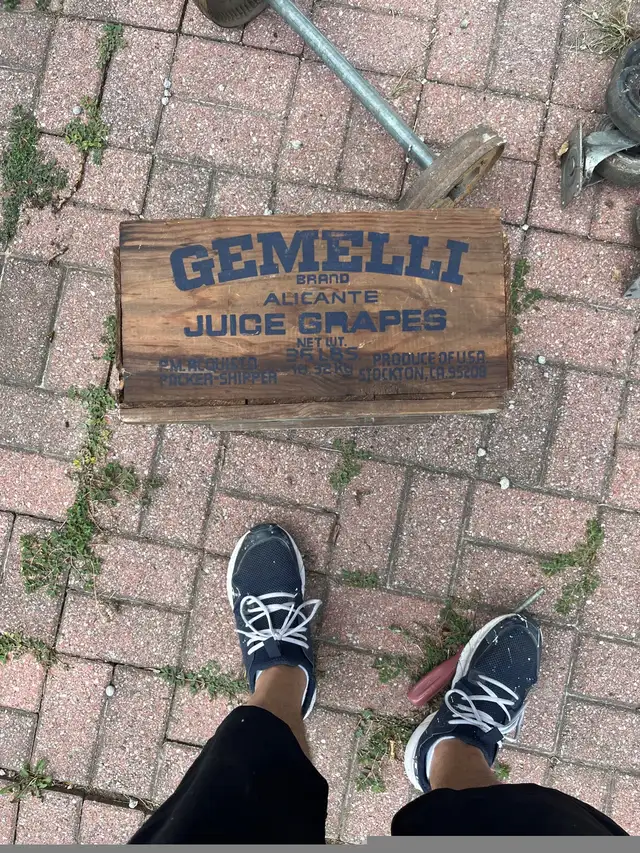 Vintage Grape Box65126295404545121