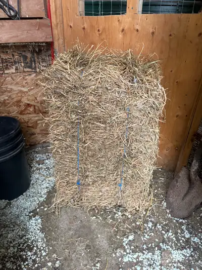 Selling one small square bale of straw. • Stored indoors and kept dry • Great for animal bedding (ch...