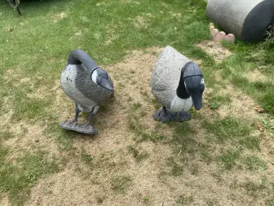 Backyard Decor, 2 Geese, View more
