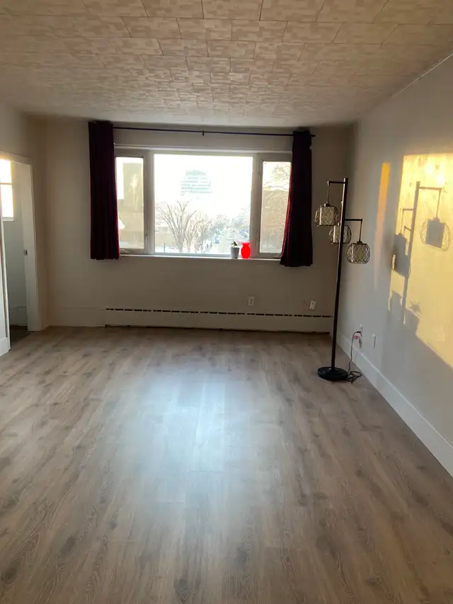 Downtown No-Frill Bachelor Studio