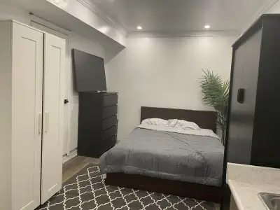 Room with private shower available January 1 in townhouse. Fully furnished. Kitchenette. Shared bath...