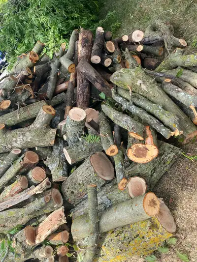 free firewood nicely cut!!! huge pile. see pictures , View more