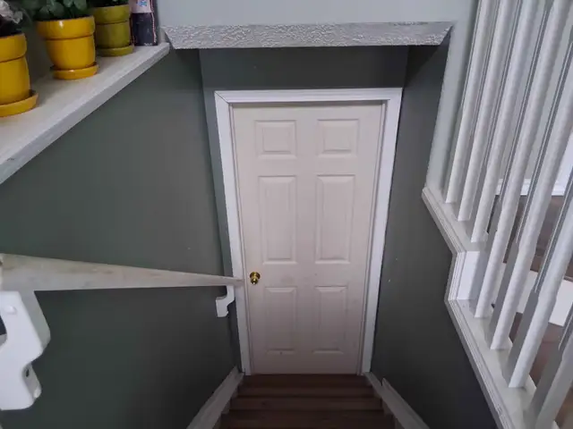 Basement for rent in Meadows area