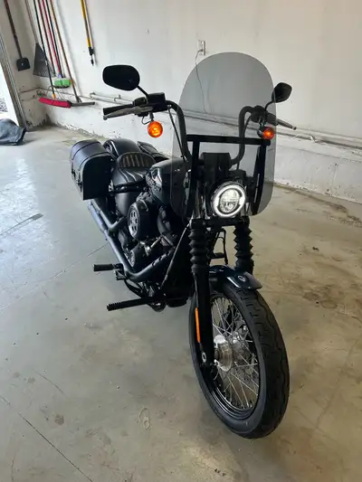 2019 Harley Streetbob FXBB 107 Fresh oil change, new battery, Memphis shades quick detach windshield...