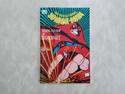 The Sensational Spider-Man Book, View more