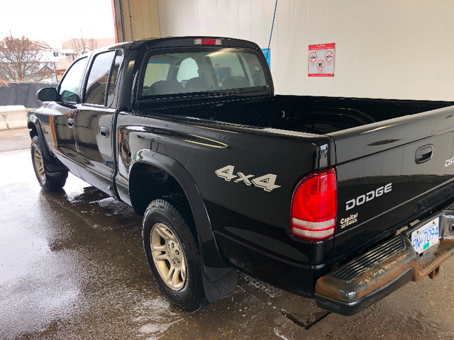 2004 Dodge Dakota Quad Cab 4x4 in Cars & Trucks in Vernon - Image 4