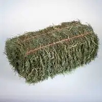 Wanted 4 bales of hay