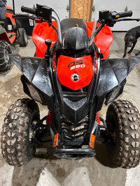 2021 Can-Am DS250