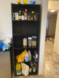 shelf storage / bookcase