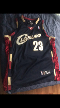2009 LeBron James Cleveland Cavaliers Jersey Adidas