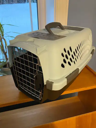 Cat taxi!! $15 or OBO